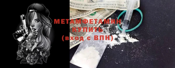 прущие грибы Горняк