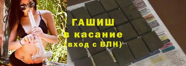 прущие грибы Горняк
