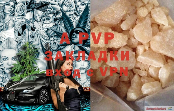 прущие грибы Горняк