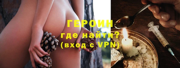прущие грибы Горняк