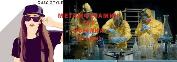 прущие грибы Горняк