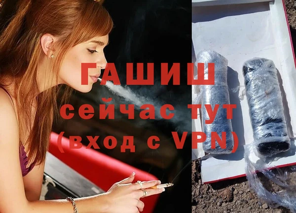 прущие грибы Горняк