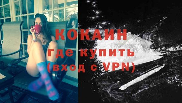 прущие грибы Горняк