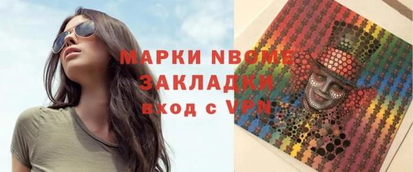 прущие грибы Горняк