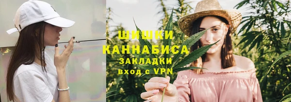 2c-b Горно-Алтайск