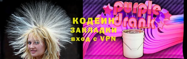 прущие грибы Горняк