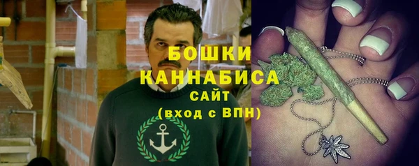 2c-b Горно-Алтайск
