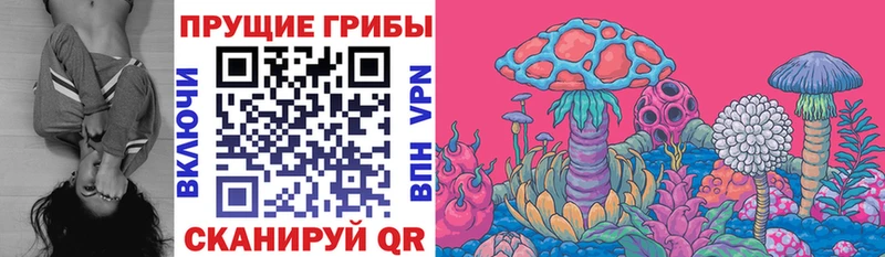 Купить закладки  Гаврилов-Ям  Галлюциногенные грибы мухоморы 